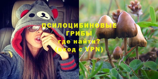 apvp Медвежьегорск