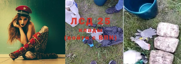 мдпв Магас