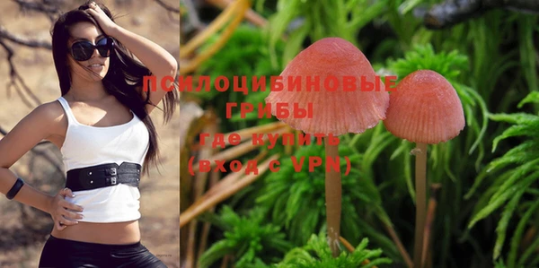 не бодяженный Мегион