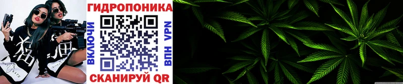 KRAKEN как зайти Харовск Конопля Bruce Banner дарнет шоп